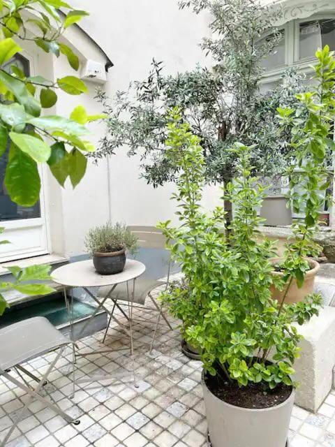 Apartment Contemporary 150 Meters From Place Victor Hugo 16 Paris